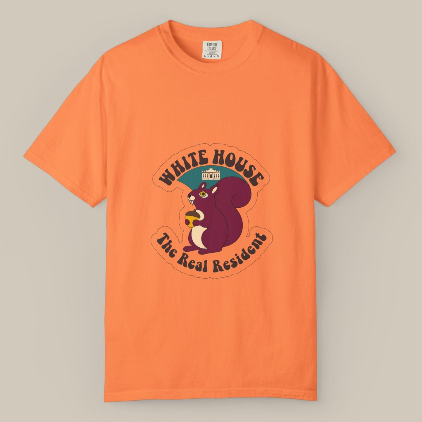 White House Lawn Squirrel DC Tee