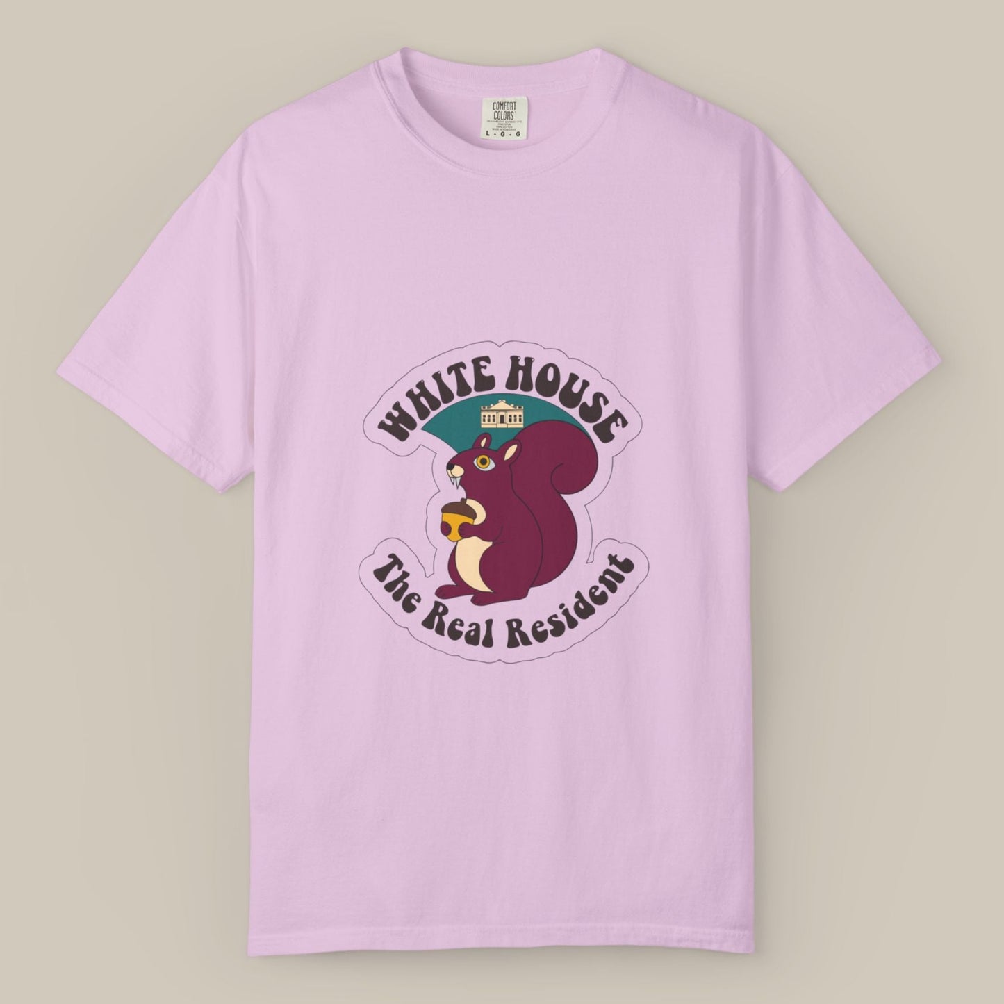 White House Lawn Squirrel DC Tee