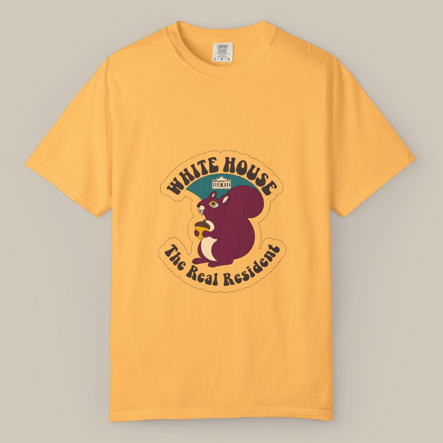 White House Lawn Squirrel DC Tee